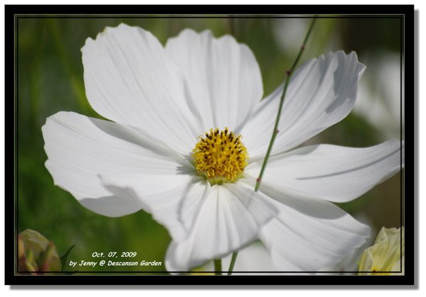 IMGP6920 frame.jpg