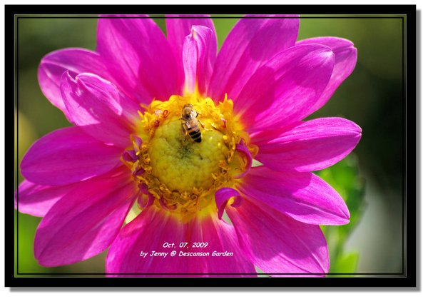 IMGP6925 frame.jpg