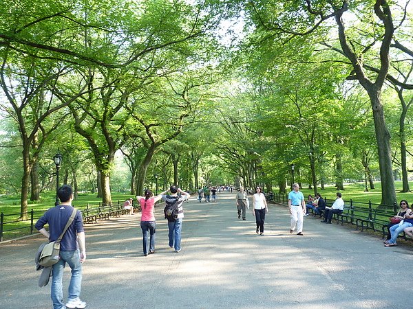 P1040040.JPG