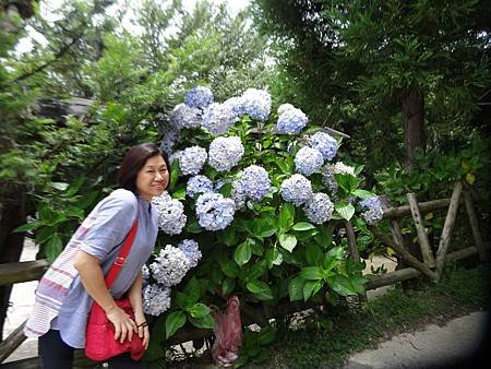 DSC08757.jpg