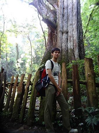 DSC08894.jpg