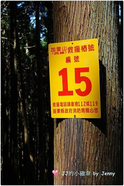加14.JPG