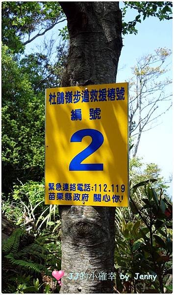加29.JPG