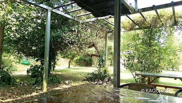 IMAG1305.jpg