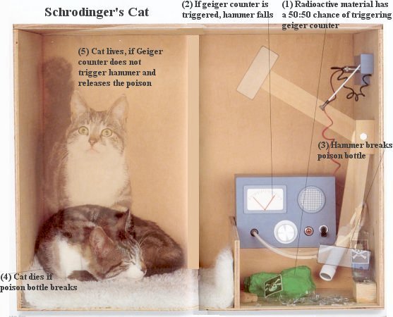 schrodinger_cat.jpg