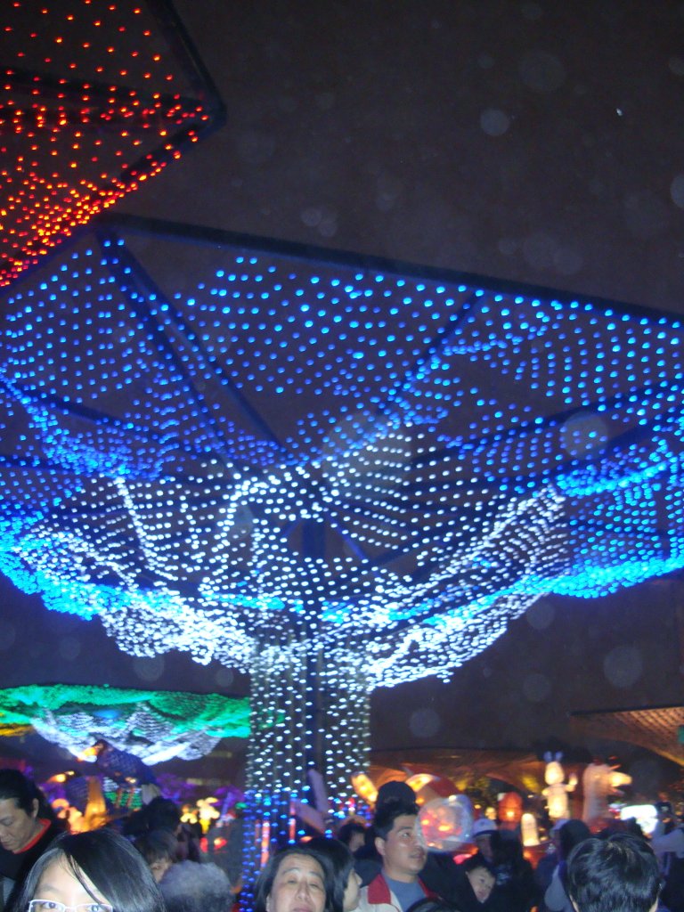 DSC04425.JPG