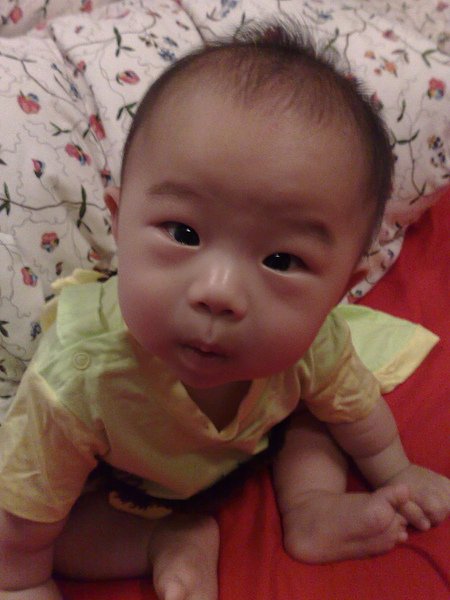 13082010371.jpg