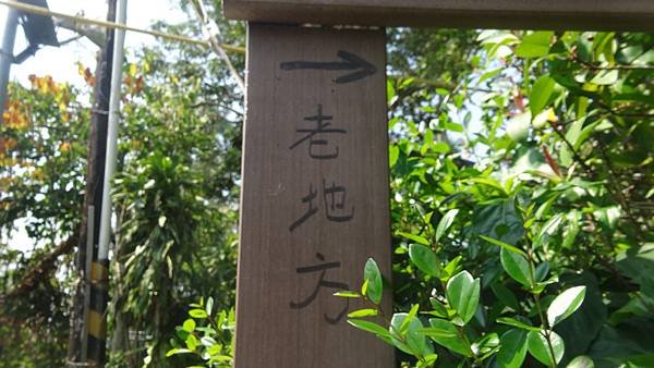 DSC00069 - 複製.JPG