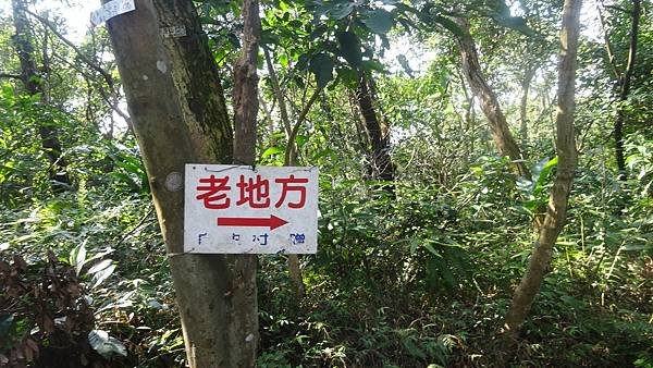 DSC00123 - 複製- 複製.JPG