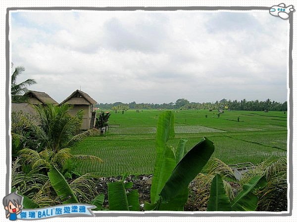 DSCN7684.jpg
