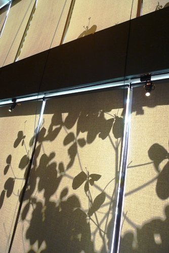 P1010122.JPG
