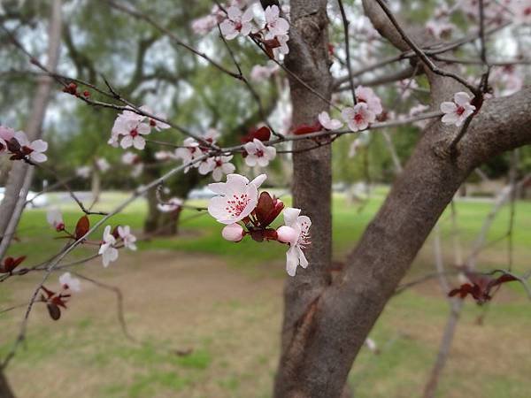 02 DSC06575