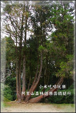 IMG_4150.jpg