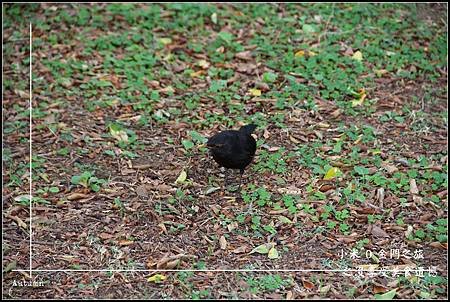 IMG_7397.jpg