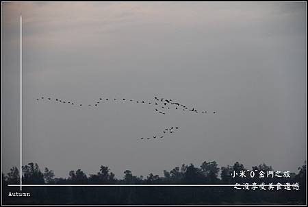 IMG_7480.jpg