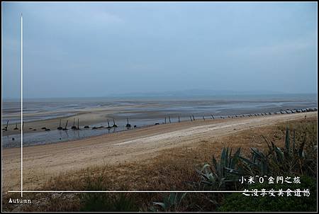 IMG_7484.jpg