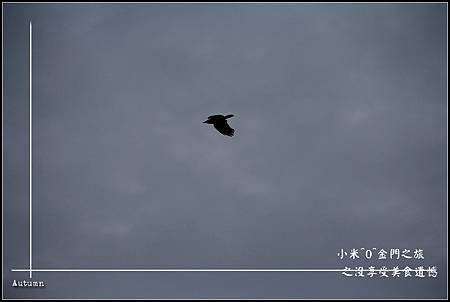 IMG_7488.jpg
