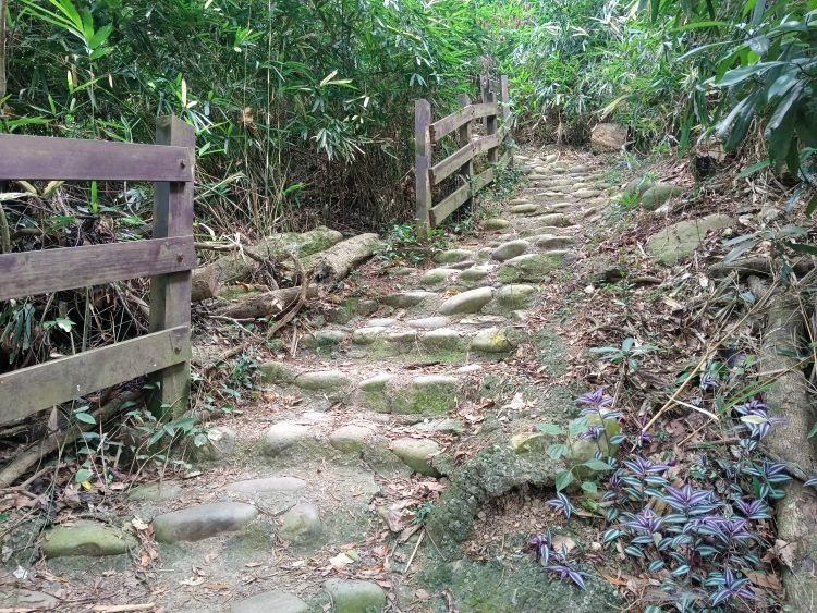 【彰化社頭】中央嶺造林步道 &amp; 十八彎古道