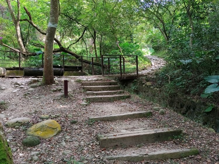 【彰化社頭】中央嶺造林步道 &amp; 十八彎古道