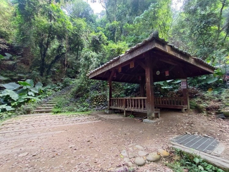 【彰化社頭】中央嶺造林步道 &amp; 十八彎古道