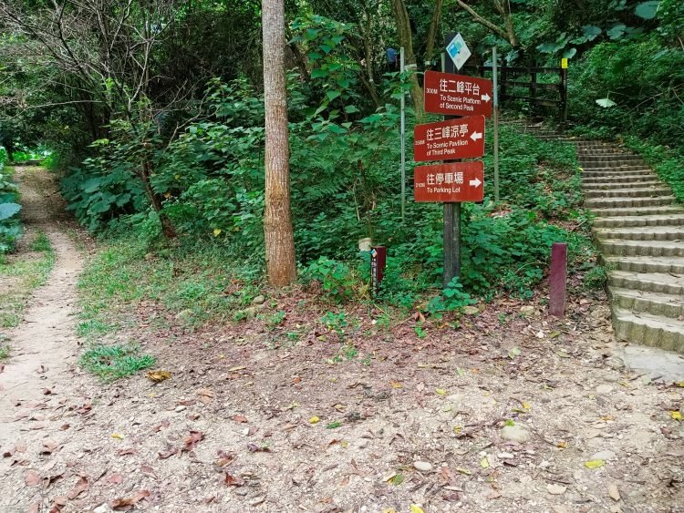 【彰化社頭】中央嶺造林步道 &amp; 十八彎古道