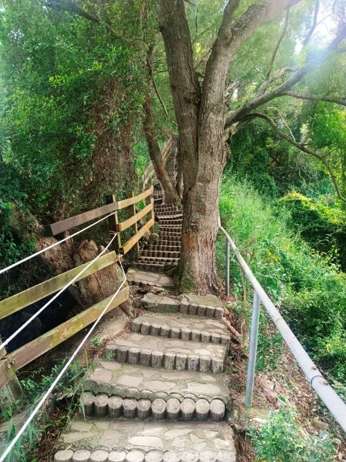 【彰化社頭】中央嶺造林步道 &amp; 十八彎古道