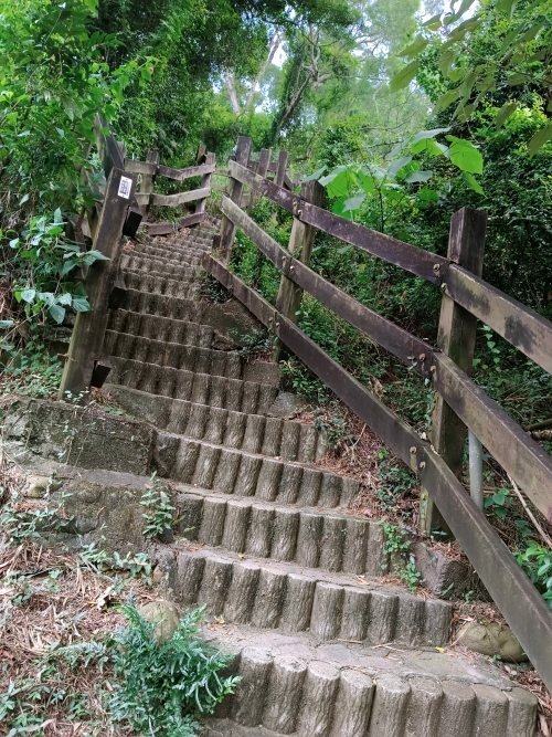 【彰化社頭】中央嶺造林步道 &amp; 十八彎古道