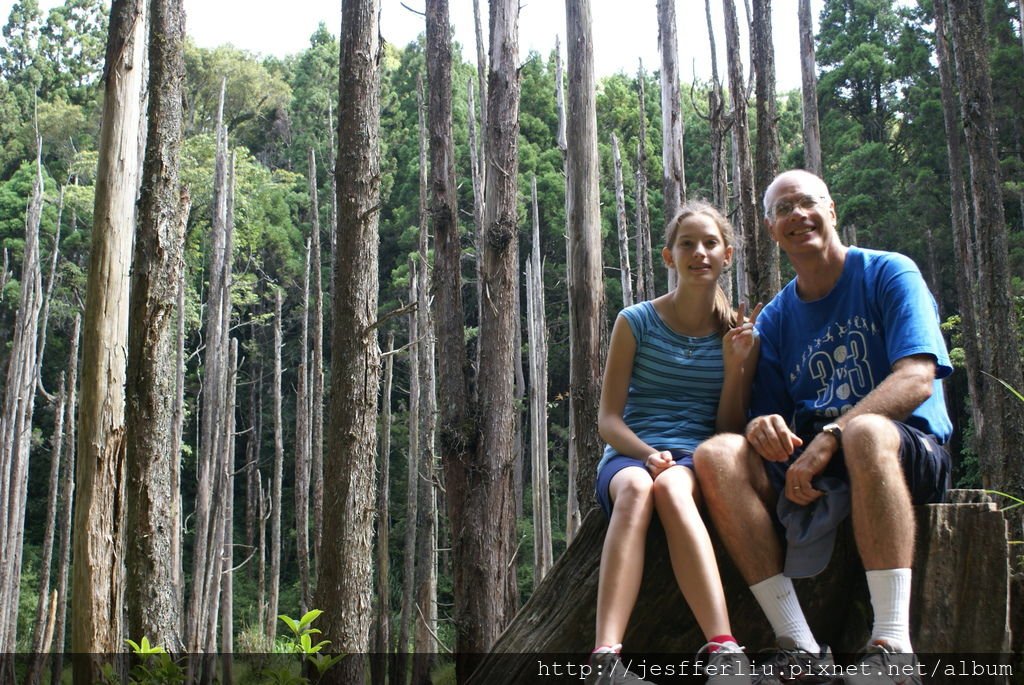 20100704杉林溪旅遊155-迷霧森林