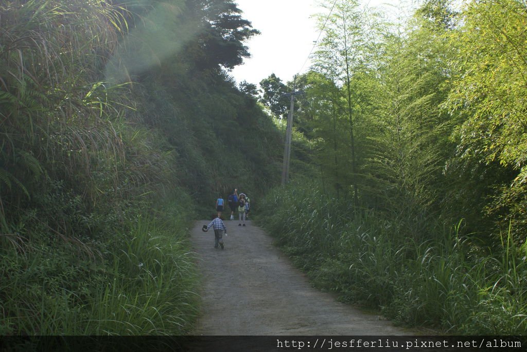 20100704杉林溪旅遊133-迷霧森林