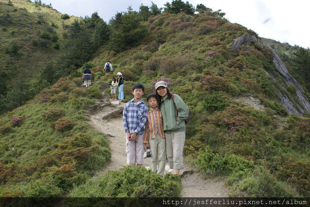 2008坤靈全家夏日遊125-合歡山