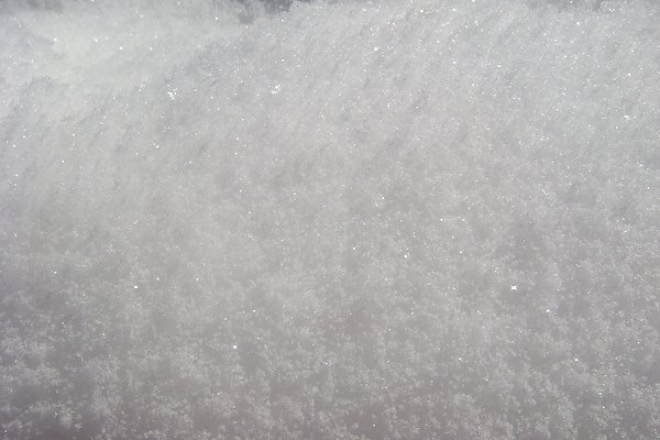 雪12.JPG