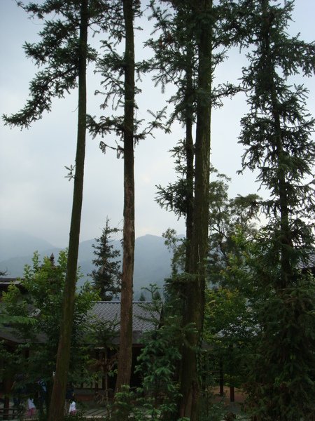 校4.JPG
