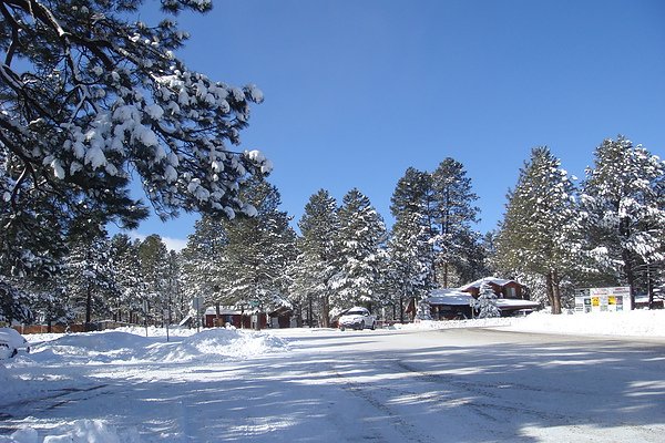 雪24.JPG