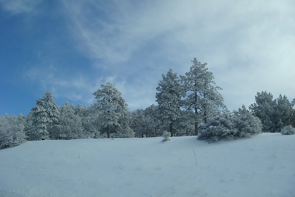 雪8.JPG