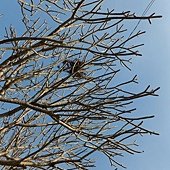 DSCF1255