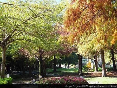 羅東運動公園12