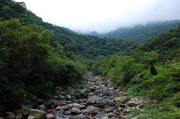 DSC_0092.JPG