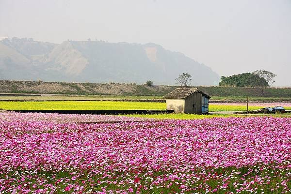 DSC_7333.JPG