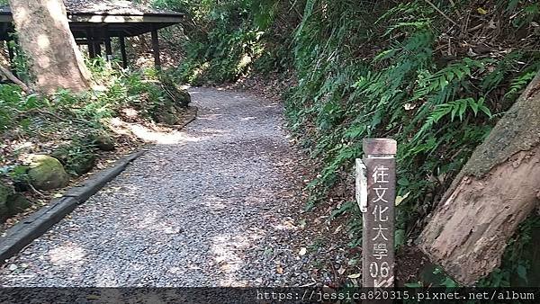 天母古道親山步道