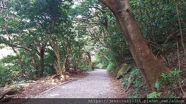 天母古道親山步道