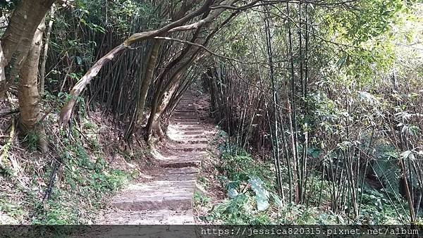 天母古道親山步道