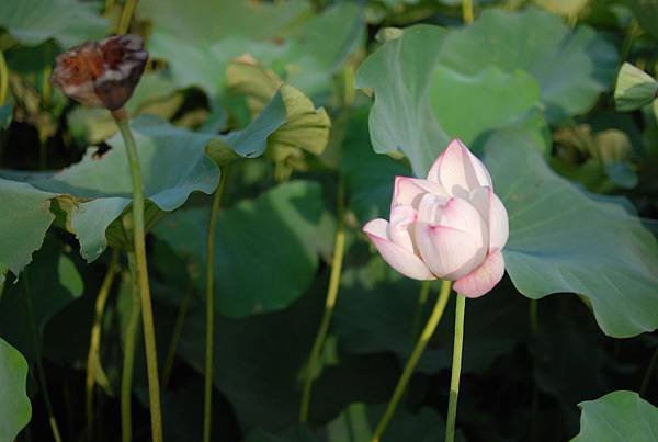 DSC_3300.JPG
