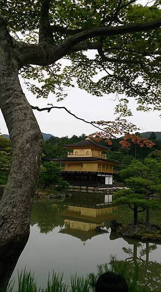 金閣寺