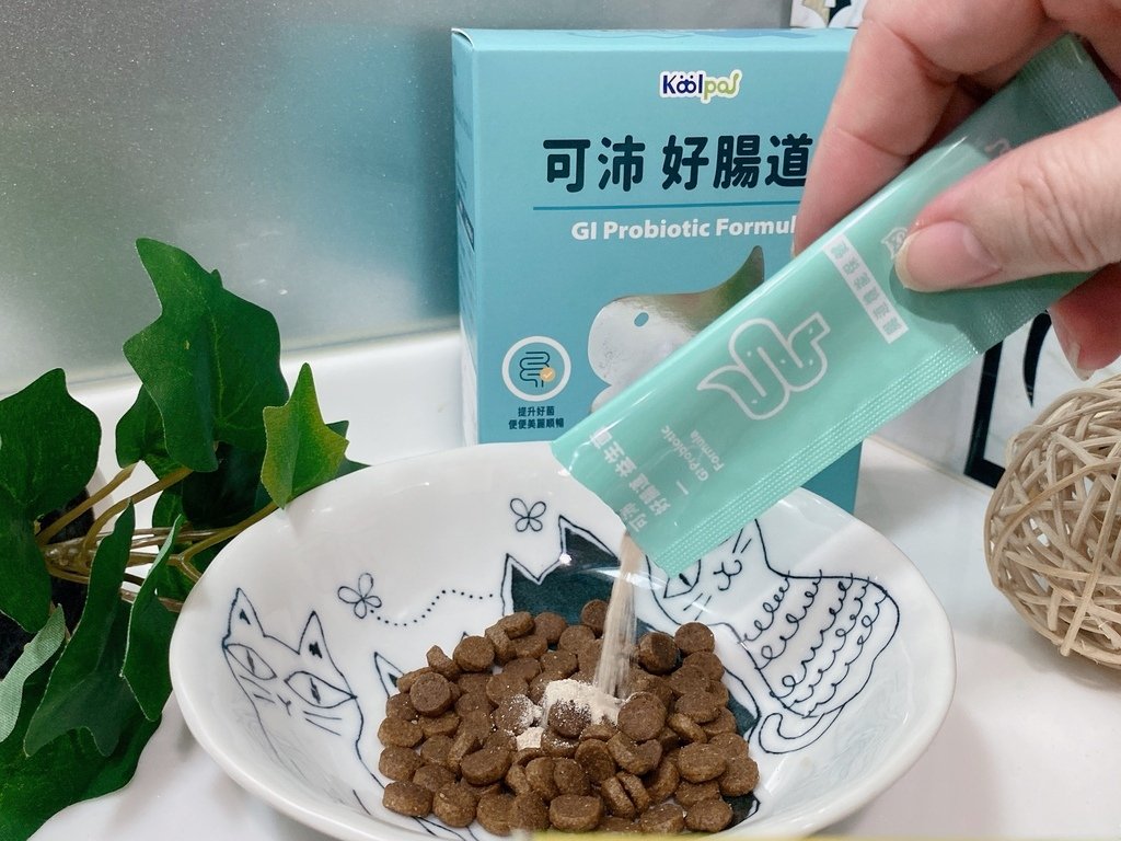 寵物腸道保健品推薦｜可沛寵藥 Koolpal｜好腸道｜專為捍
