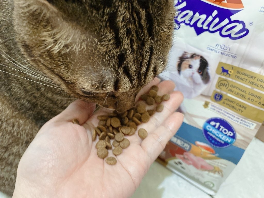 泌尿道保健飼料推薦｜Kaniva卡咪哇寵物食品｜全齡貓-泌尿