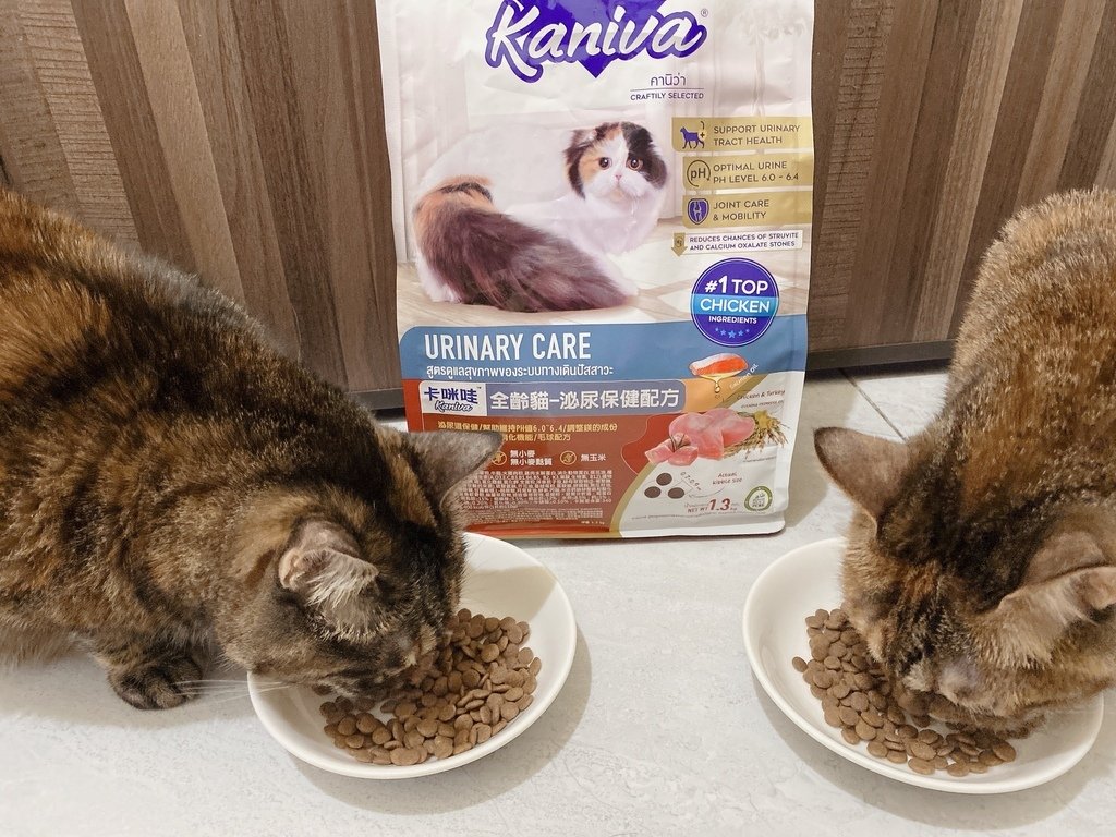 泌尿道保健飼料推薦｜Kaniva卡咪哇寵物食品｜全齡貓-泌尿