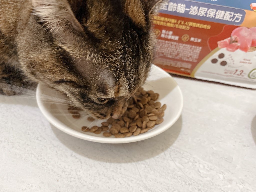 泌尿道保健飼料推薦｜Kaniva卡咪哇寵物食品｜全齡貓-泌尿