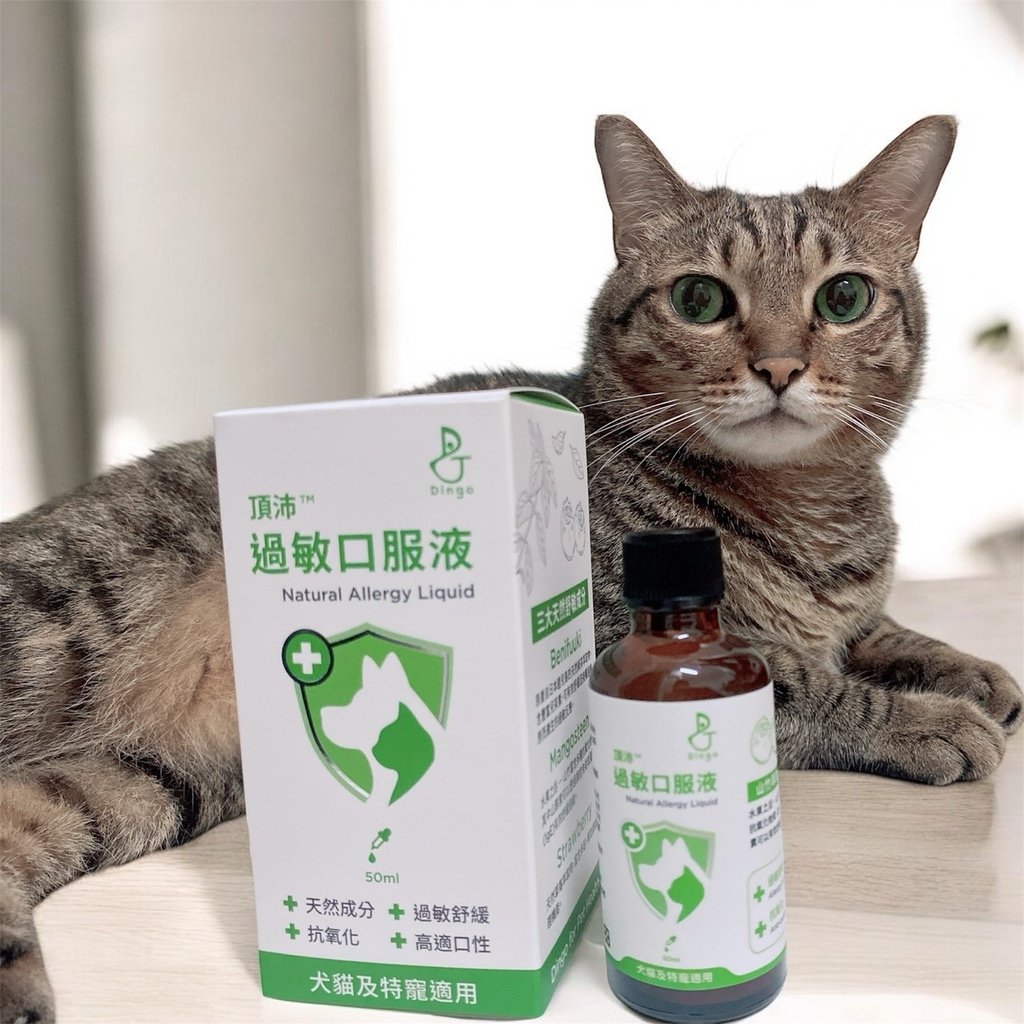 毛孩機能保健品推薦｜Dingo頂沛寵物保健｜毛孩過敏口服液評
