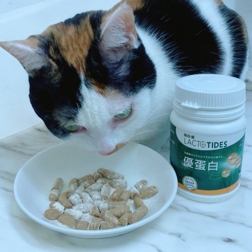 獨家寵物營養粉開箱｜萌肽優LactoTides｜全護型優蛋白