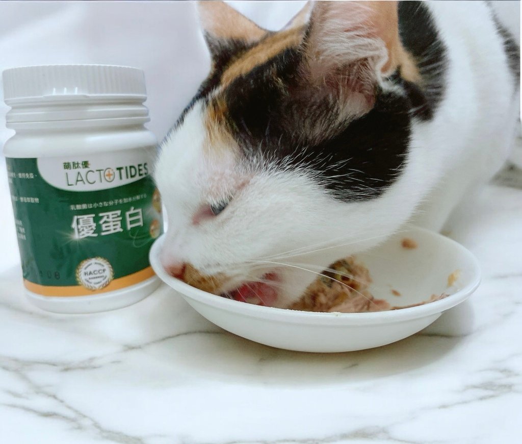 獨家寵物營養粉開箱｜萌肽優LactoTides｜全護型優蛋白